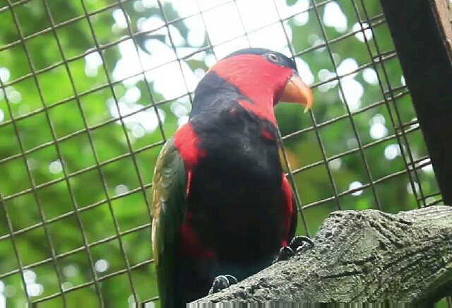 Steller Create Beautiful Social Media Stories