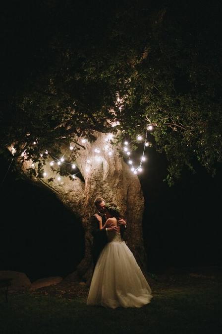 Steller Create Beautiful Social Media Stories