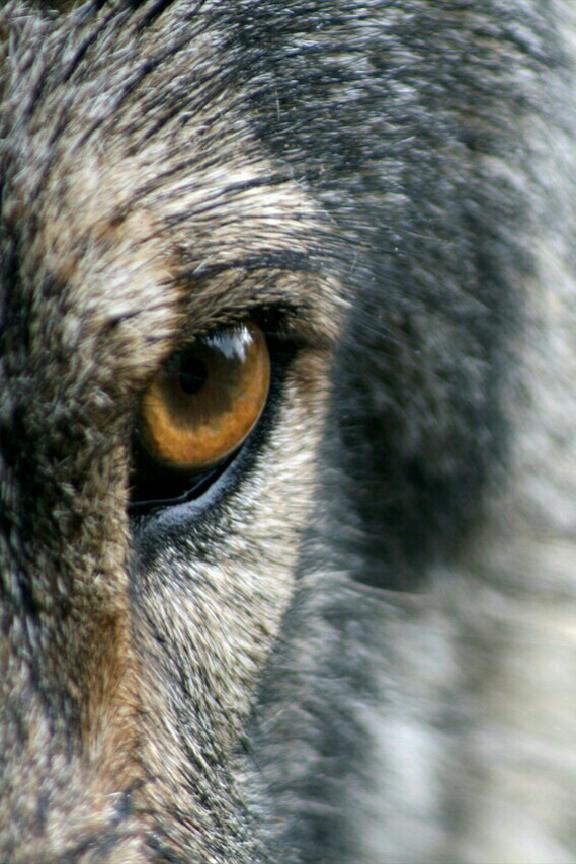 Steller Create Beautiful Social Media Stories