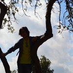 photographer00 avatar