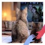 Nurtavip051164 avatar