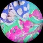 lysergiclens avatar