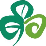 TourismIreland avatar