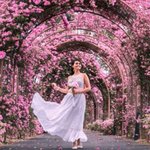 globetrottingsu avatar