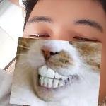hilarygat avatar