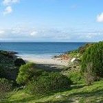 SeaDragonLodge avatar