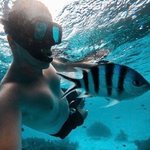 nomadwhere avatar