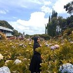 adelamzd31 avatar