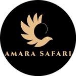 amara_safari100 avatar