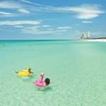 VisitPCB avatar