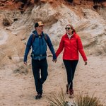 organized_adventurer