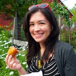 User avatar - dailywaffle