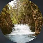 themidwestguide avatar