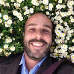 gibipi avatar
