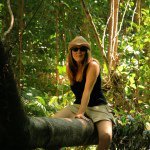suewhit avatar