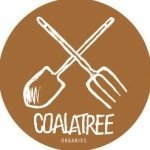 coalatree avatar
