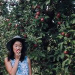 tinaoh avatar