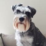 hectorpickleton avatar