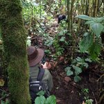 SGwildlife avatar
