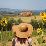 wibilu avatar