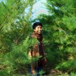 nopalhz avatar