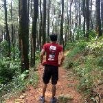 backpankers avatar
