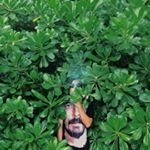 mrspade85 avatar