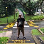 imgar avatar