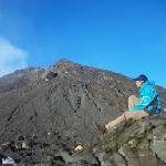 alfarinbw avatar