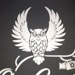 ginccreative avatar