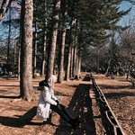 User avatar - yhanaf